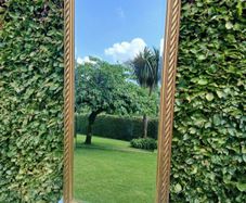 Mirror.