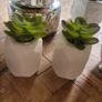 Artificial Plants in Ceramic, Glass, Stone & PVC Pots x8 Image 3
