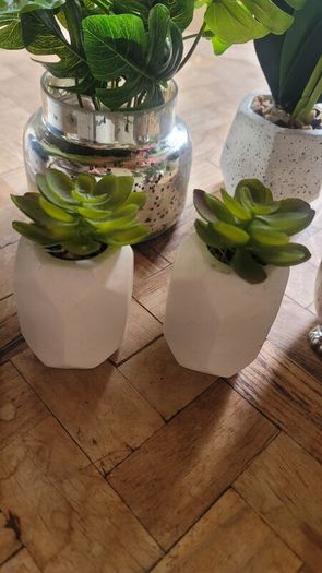 Artificial Plants in Ceramic, Glass, Stone & PVC Pots x8