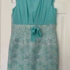 Special Occasion Dress _  Arggido _  New with tags _ Size 14