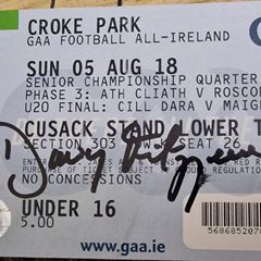 Davy Fitzgerald signed gaa ticket.