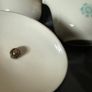 A vintage Taylor, Smith & Taylor "Ever Yours" Boutonniere pattern creamer and covered sugar bowl set Image 9