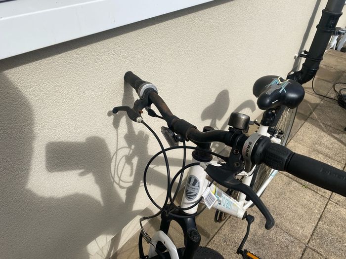 Ladies/girls bike