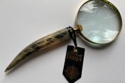 Magnifyer glass