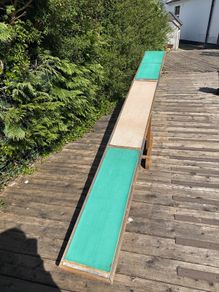 Trixie Dog Agility Seesaw
