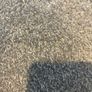 Grey new carpet 2.8 x 10.2 Image 3