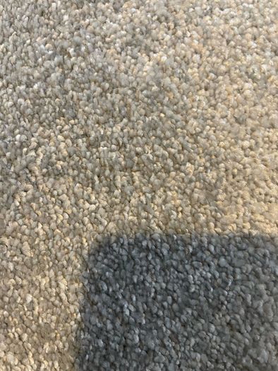 Grey new  carpet 6.7x3.3