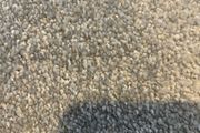 Grey new carpet landing or hallway 6.7 x 3.6
