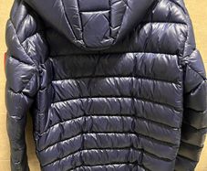 canada goose
