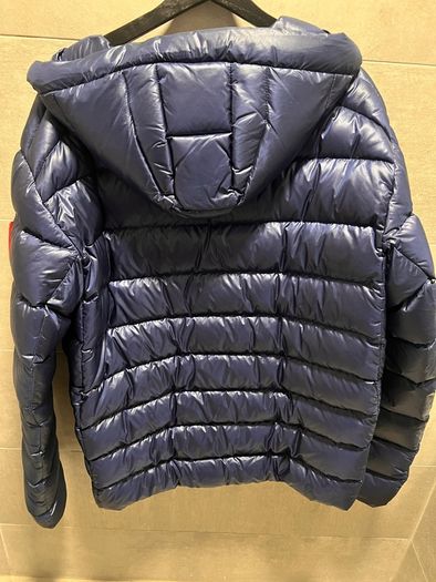 canada goose