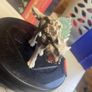 Schleich toys, for sale Image 2