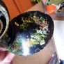 boat propeller hand painted candle holder Image 9