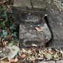 railway sleepers Image 2