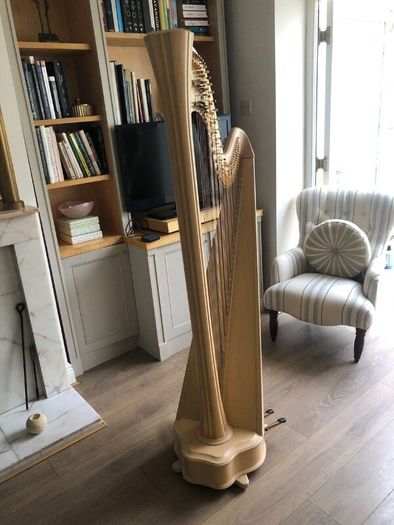 Salvi Daphne 40 Pedal Harp in Perfect Condition