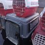 cat and dog carry cages Image 4