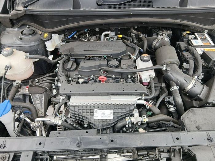 Kia Sportage year 2025