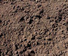 Topsoil