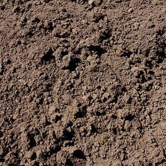 Topsoil