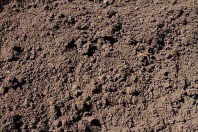 Topsoil