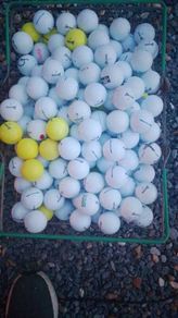 Jj's Cork Golf Balls - Srixon Ad333