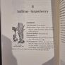 Occult Botany Image 7