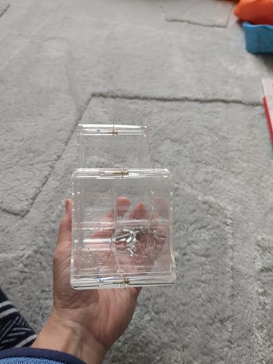 Automatic hamster feeder