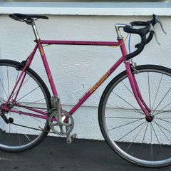 Fixie Puegeot Road Bike