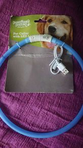 Pet Collar with led light