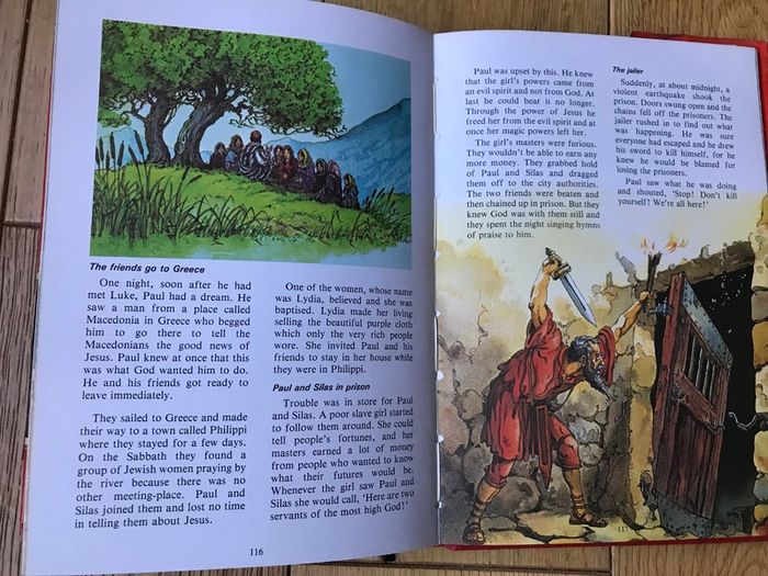 The Ladybird New Testament