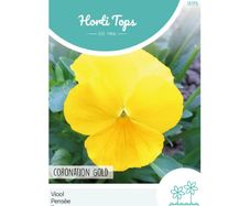 HT Pansy Coronation Gold seeds 0.4g | Sow July - August