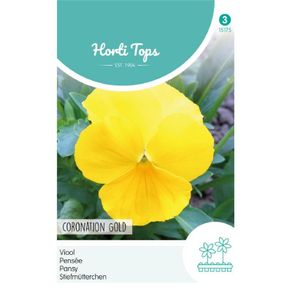 HT Pansy Coronation Gold seeds 0.4g | Sow July - August