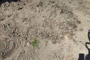 Top soil