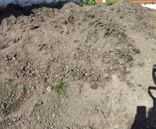 Top soil