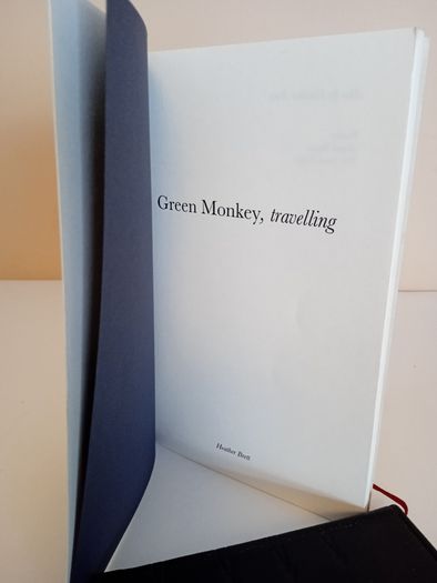 Green Monkey, Travelling by Heather Brett (RB45)