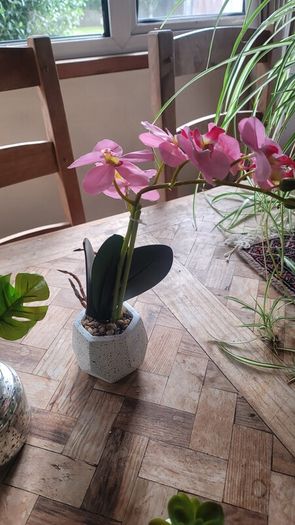Artificial Plants in Ceramic, Glass, Stone & PVC Pots x8