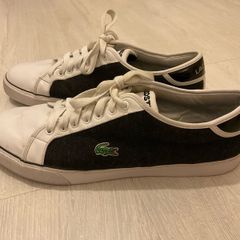 Men's Lacoste Shoes