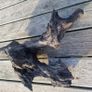 bog oak Image 8