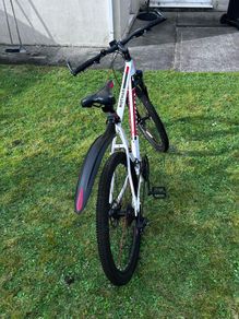 mountain bike