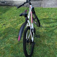 mountain bike