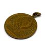 Antique German Kaiser Wilhelm II Thuringian Infantry medal Image 3