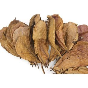 Ketapang Leaf 25x30cm 1piece
