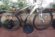 carrera crossfire serviced
