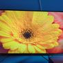 LG 27 Inch 1440p 144hz IPS GSync Gaming Monitor Image 2