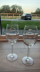 John Rocha wine glasses