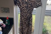 ladies dress