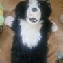 Teddy Bears Image 3