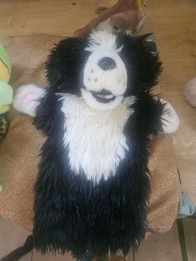 Teddy Bears