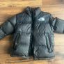 jacket the north face Image 4