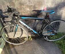 carrera road bike