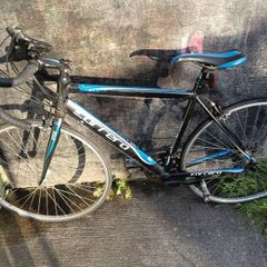 carrera road bike